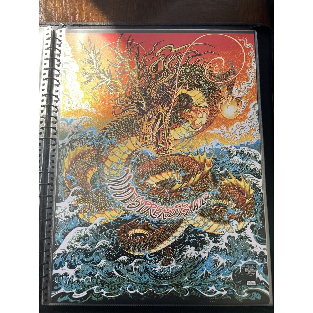 widespread panic poster